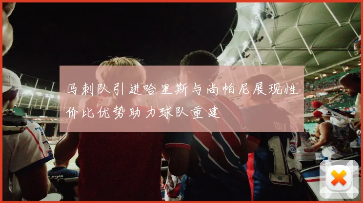 马刺队引进哈里斯与尚帕尼展现性价比优势助力球队重建
