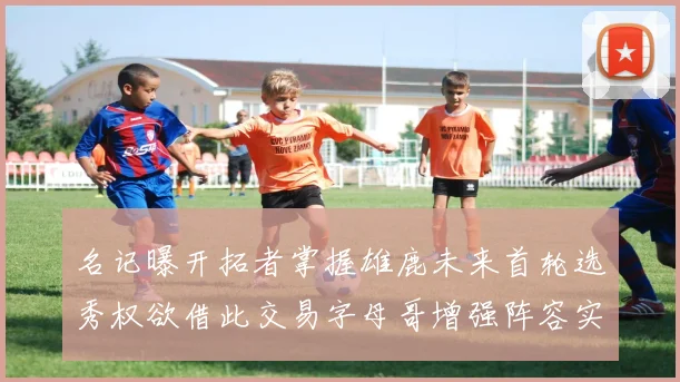 名记曝开拓者掌握雄鹿未来首轮选秀权欲借此交易字母哥增强阵容实力